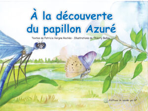À la découverte du papillon Azuré