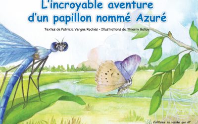 Nouvel album : l’incroyable aventure d’Azuré