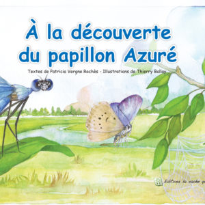 À la découverte du papillon Azuré