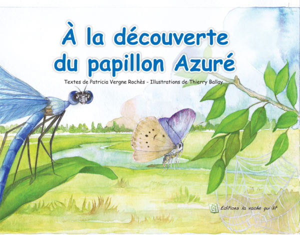 À la découverte du papillon Azuré